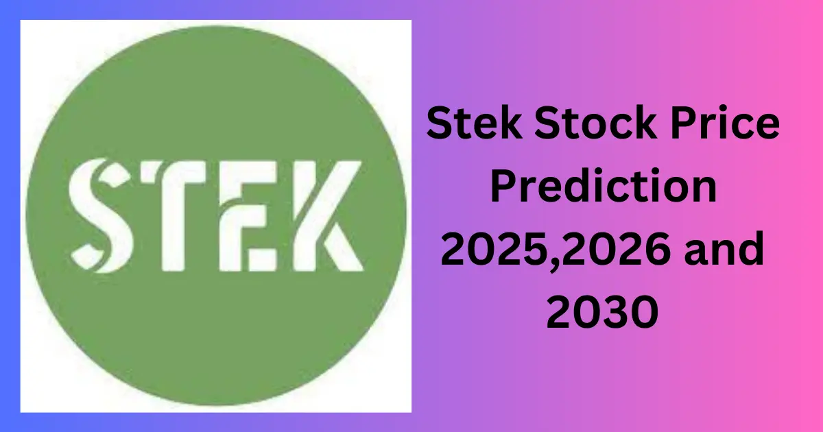 Stek Stock Price Prediction 2025